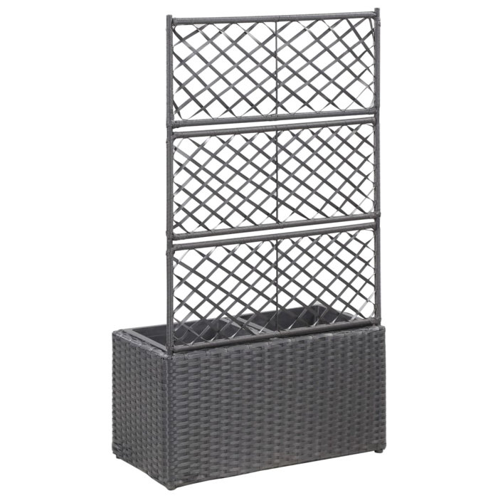 Freeport Park Newsome Rattan Planter Box with Trellis & Reviews